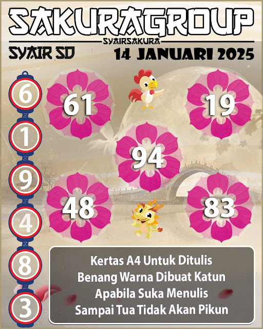 SYAIR SDY VIP